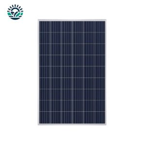 Panel Solar Fotovoltaico Mono Amerisolar 200wp